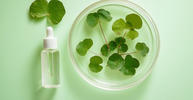 Cosmétique coréen Centella asiatica