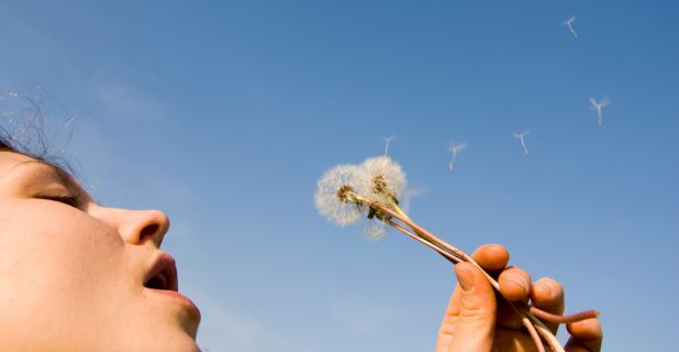 Allergies saisonnières et soins nasaux