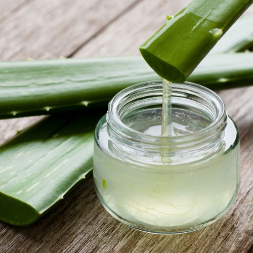 Warum bietet Aloe Vera Vorteile für die Haut?