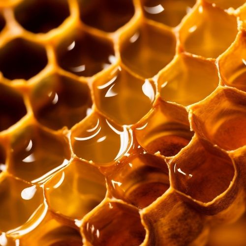 Bienfaits de la gelée royale : propriétés et posologie journalière 