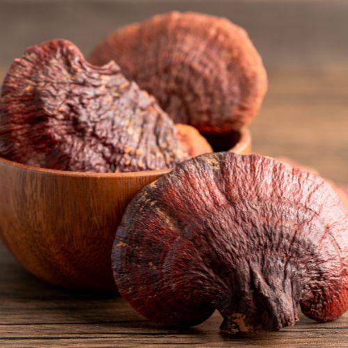 What is reishi and why is it in the best cosmetics?