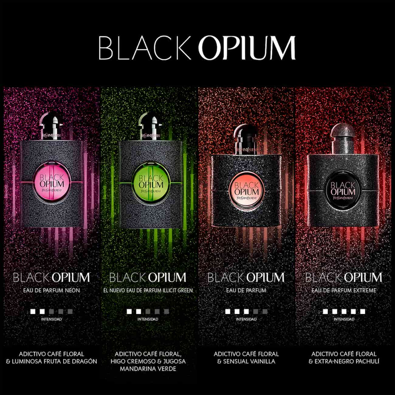 Black Opium dans ses 4 versions