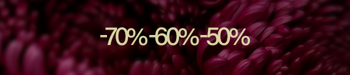 Offers Perfume's Club