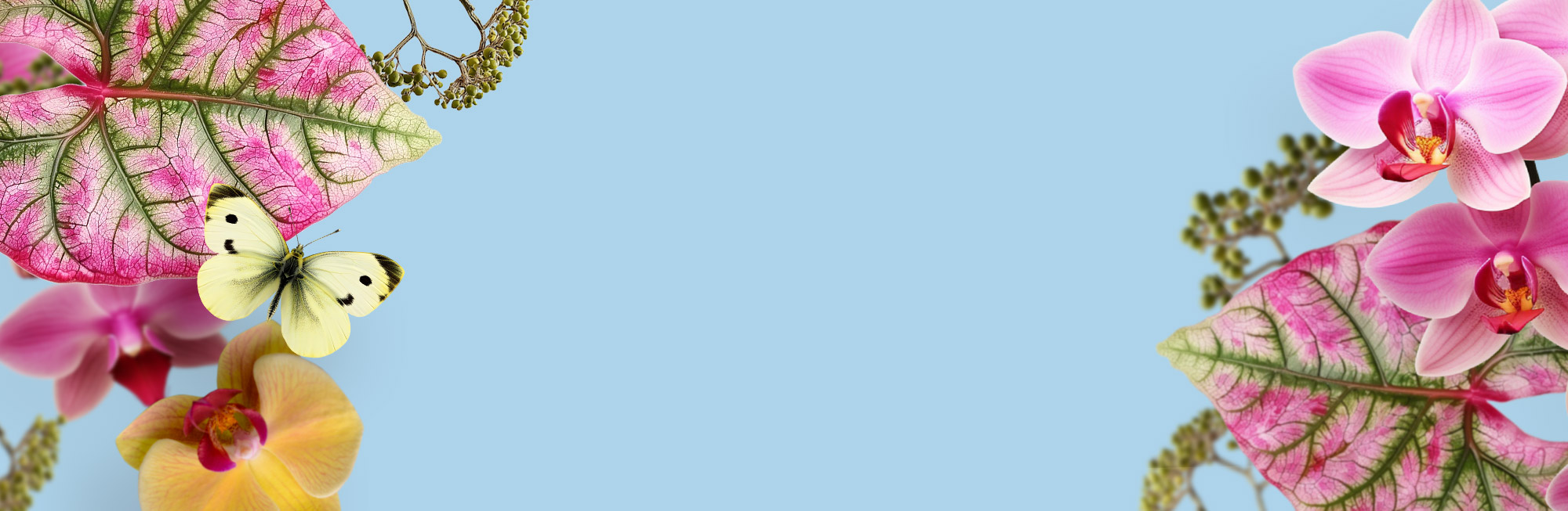 Universo Primavera