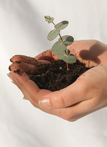 Banner Green Beauty uk