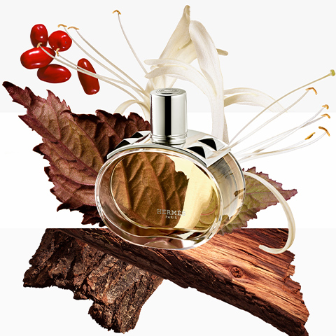 Terre d'Hermès