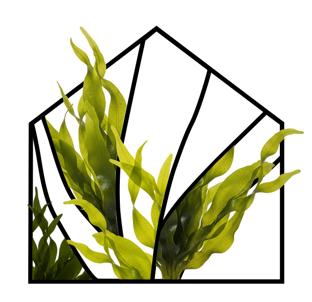 Responsabilité sociale : Projet Posidon